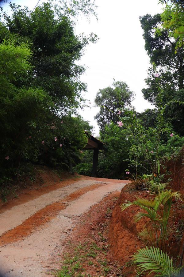 Coorg Nature Breeze Home Stay Madikeri Exterior photo