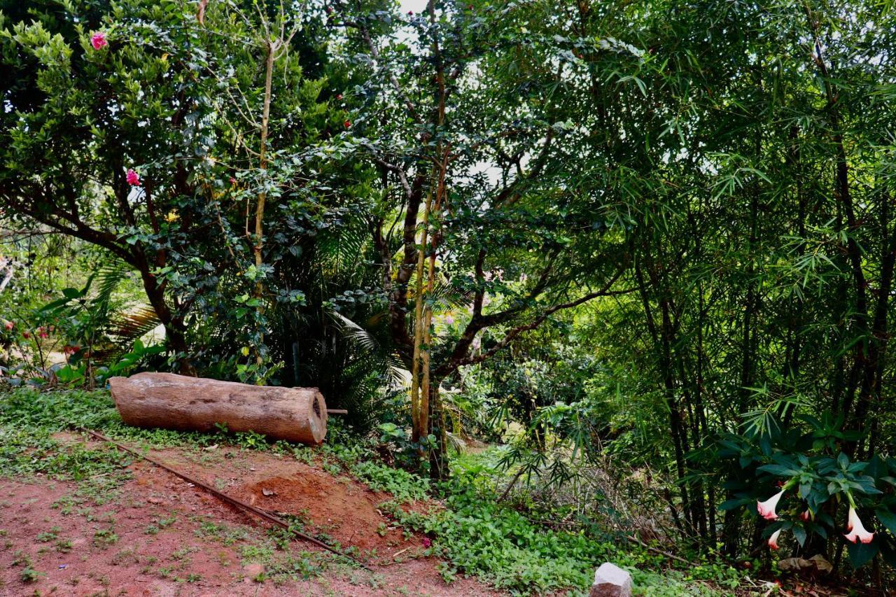 Coorg Nature Breeze Home Stay Madikeri Exterior photo